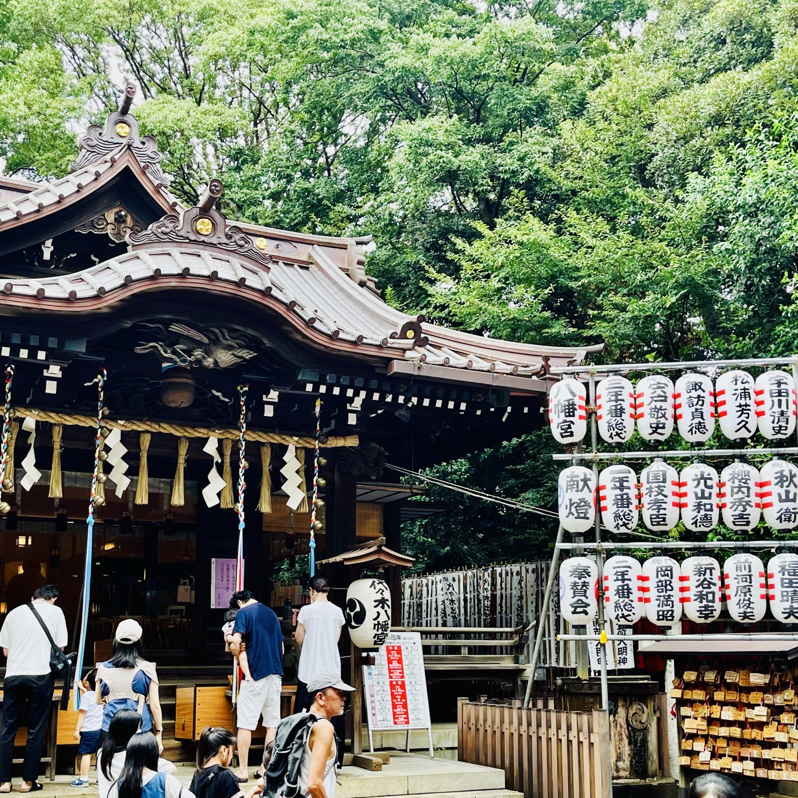 ムーンテッド（MoonTed）の日記より、例大祭の代々木八幡宮の社殿。奉納の提灯が並ぶ