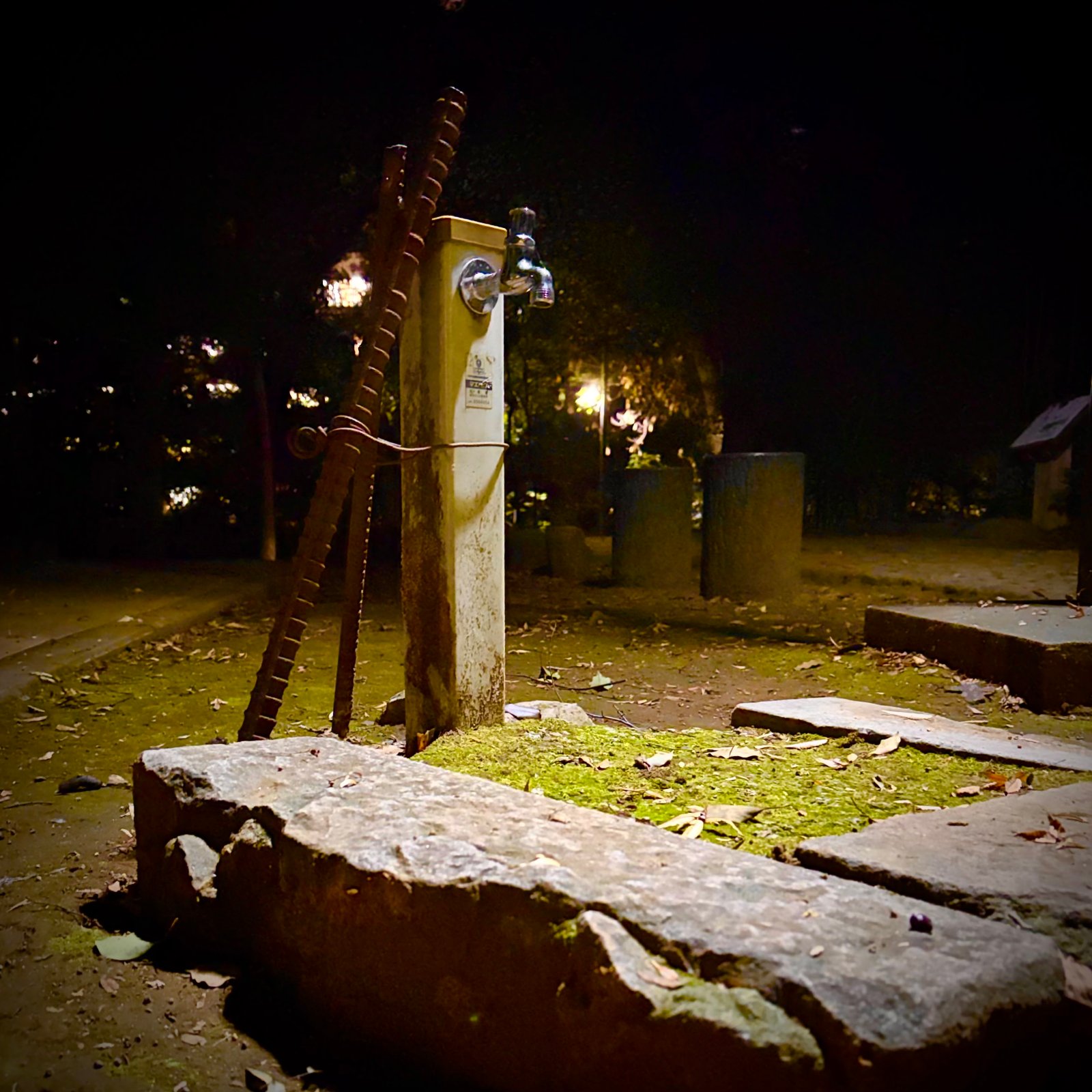 ムーンテッド(MoonTed)の日記より、夜の代々木八幡宮の境内にある古い立水栓。根元には苔が生え、錆びた鉄の杭が立てかけられ、周りに石が並んでいる。
