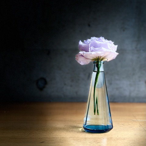 MoonTed Diary: A single lavender Eustoma in a slender blue glass vase on a wooden table against a dark concrete wall