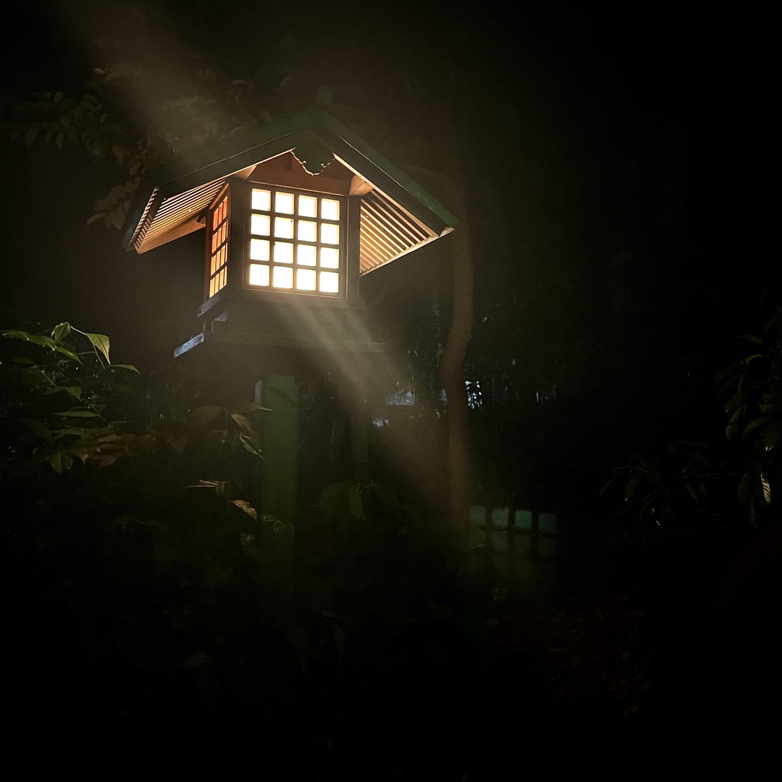 MoonTed Diary: A wooden lantern glowing among the trees at Yoyogi Hachimangu Shrine late at night