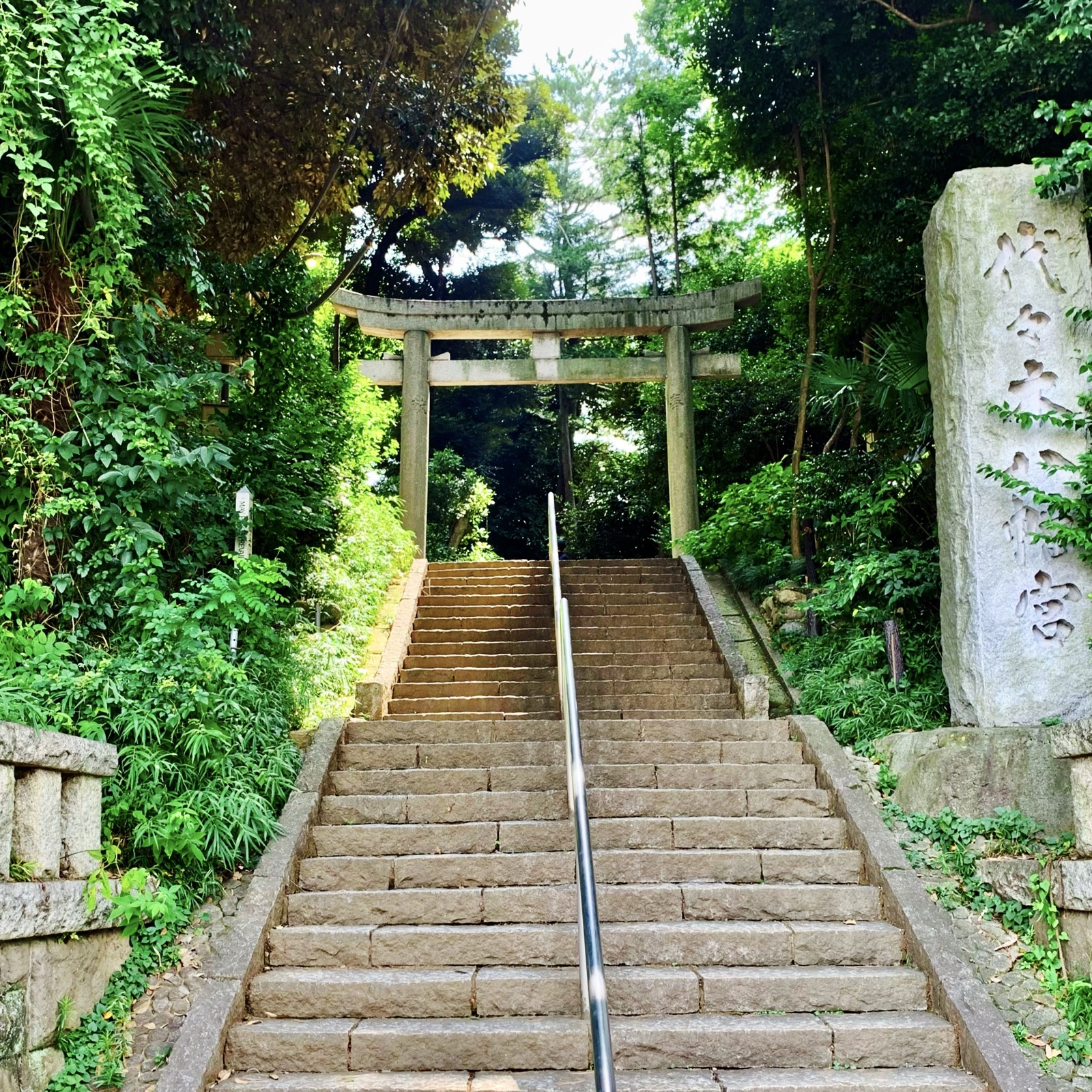 ムーンテッド（MoonTed）の日記より、代々木八幡宮の石段と鳥居。右に社号標