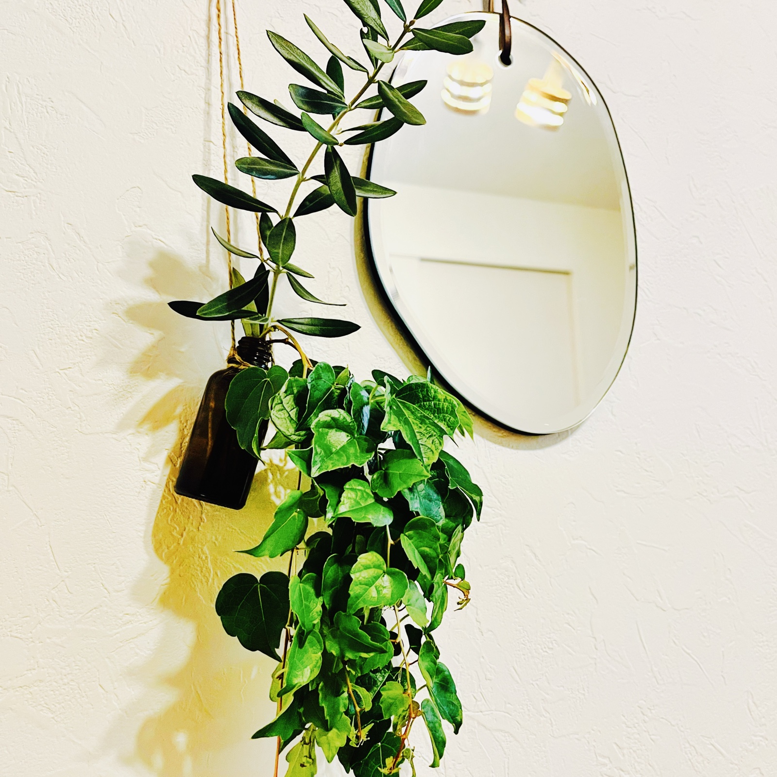 ムーンテッド(MoonTed)の日記より、壁に吊るした遮光瓶の花瓶。オリーブとアイビーがあふれるように挿してあり、横に楕円の鏡