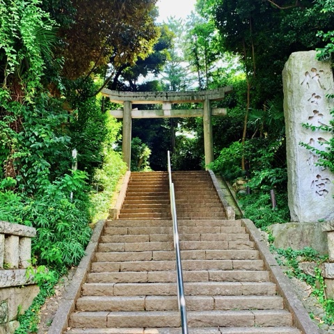 MoonTed Diary: Stone steps leading up to the torii gate of Yoyogi Hachimangu Shrine, surrounded by lush green trees